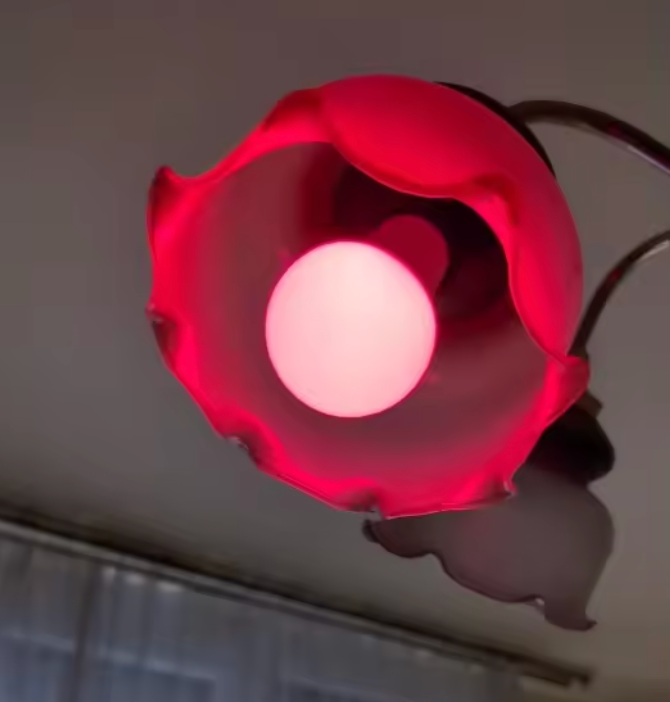 Smart RGB WiFi Bulb  16M Colours  Voice Control  Smart Home NZ